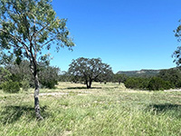 Texas Hill Country and Frio Canyon Properties with Live Water