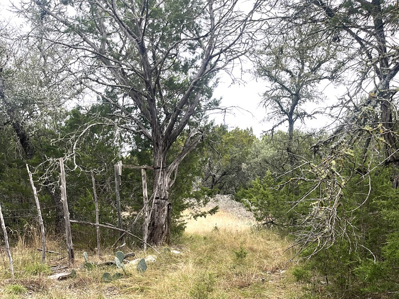 Shawn Gray - Frio Canyon Real Estate