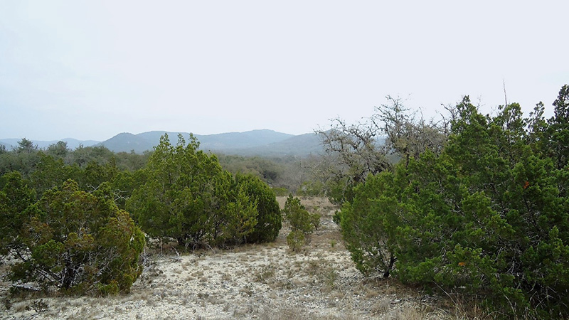 Shawn Gray - Frio Canyon Real Estate
