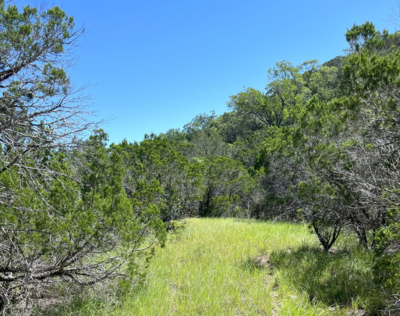 Shawn Gray - Frio Canyon Real Estate
