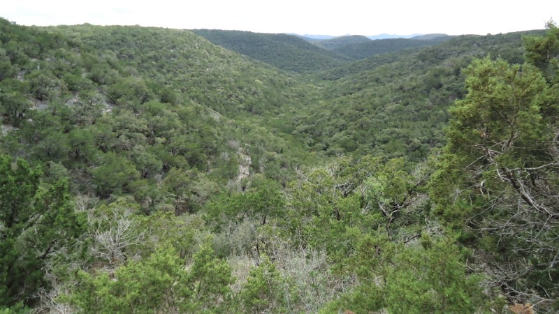 Shawn Gray - Frio Canyon Real Estate