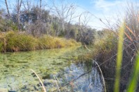 Frio Canyon Real Estate