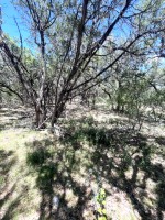 Frio Canyon Real Estate - Martin Martinez