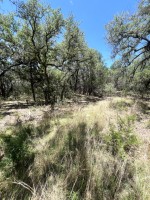Frio Canyon Real Estate - Martin Martinez