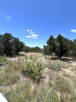 Frio Canyon Real Estate - Martin Martinez