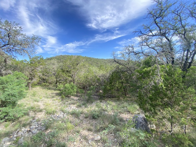 Shawn Gray - Frio Canyon Real Estate